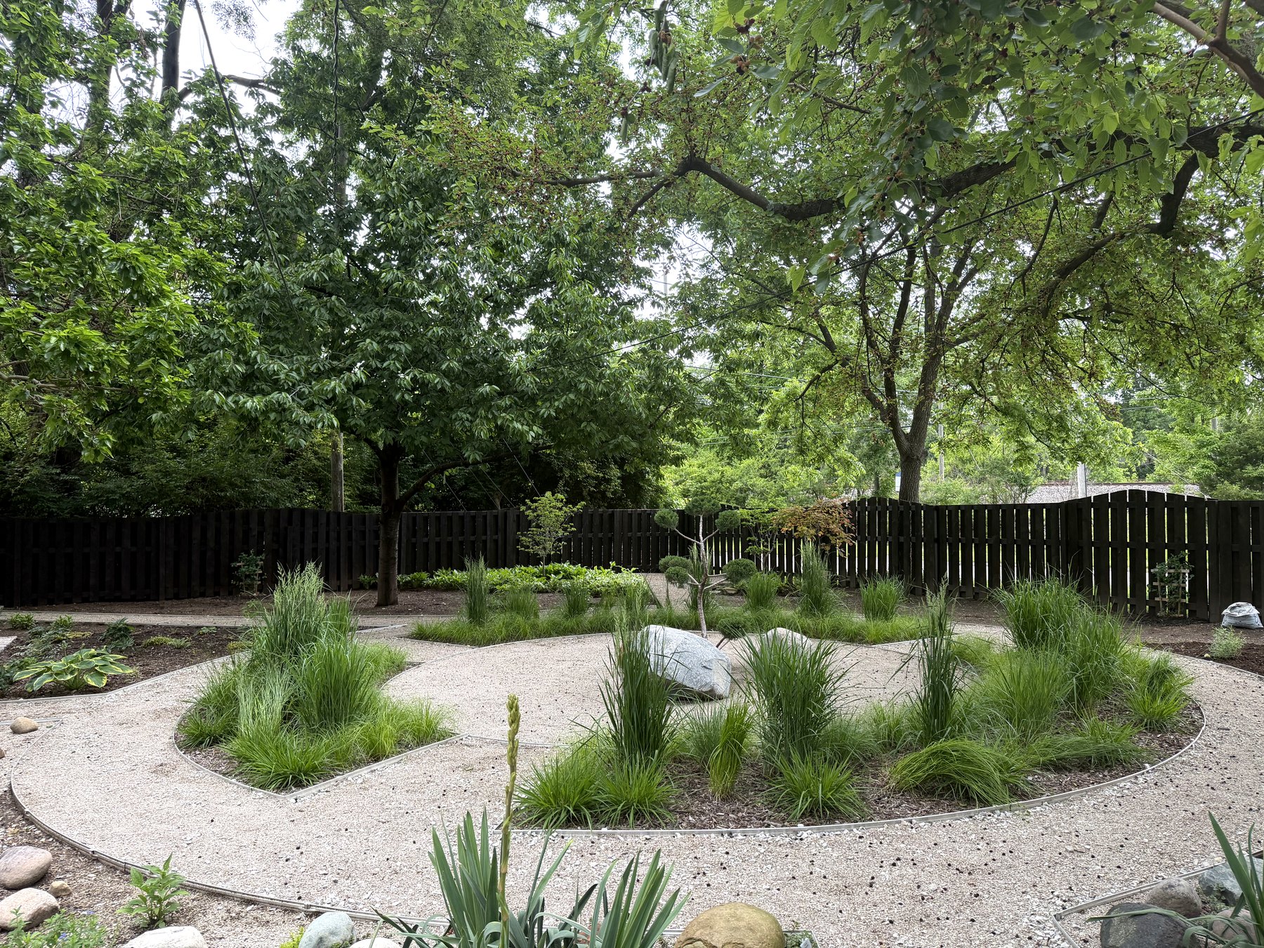 Landscaped courtyard path at Indigo Sun